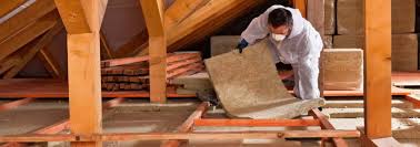 Best Crawl Space Insulation  in Fennville, MI